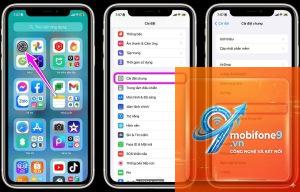 App Data trên iPhone là gì