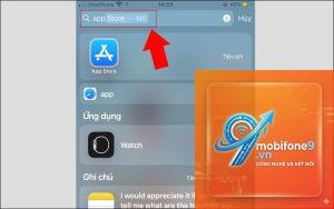 App Store bị mất trên iPhone