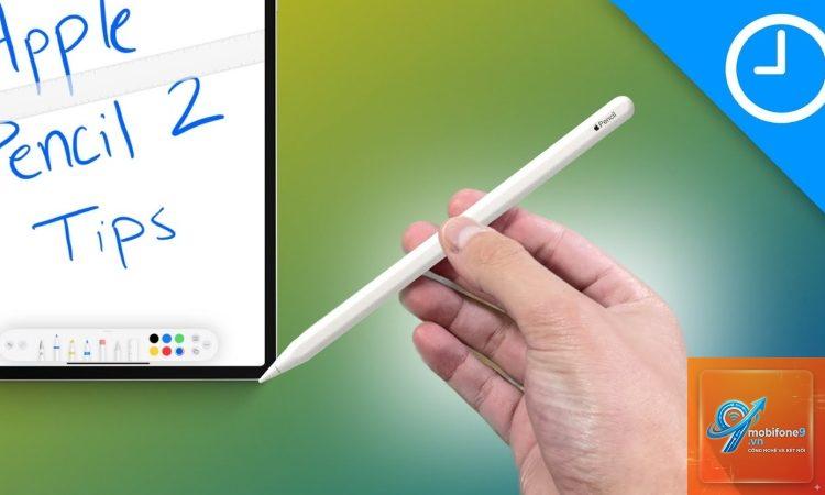 Apple Pencil nào phù hợp với iPad - Hình 2