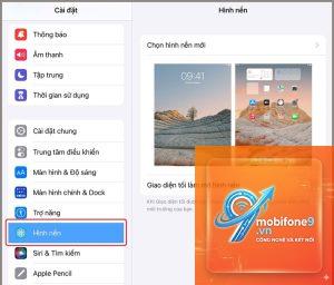 Cách đổi hình nền iPad
