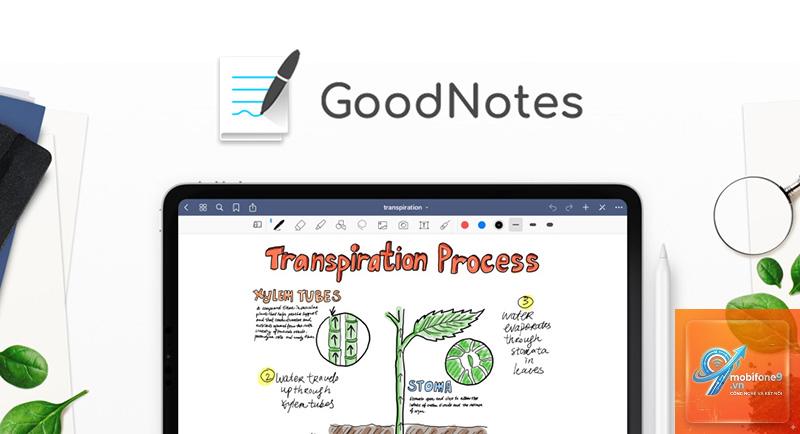 Cách sử dụng GoodNotes trên iPad - Hình 3