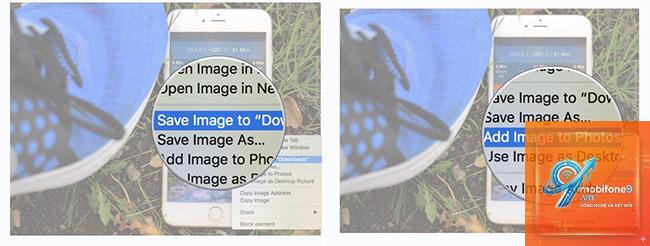 Cách tải file từ Dropbox về iPad - Hình 4