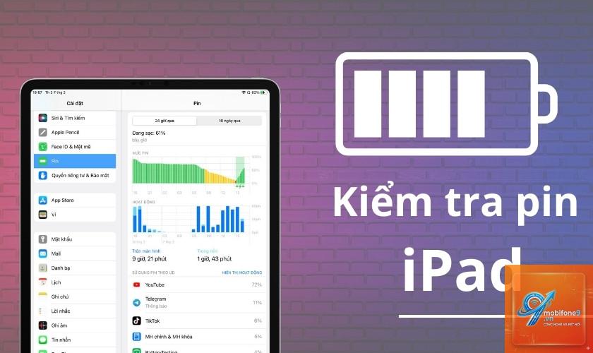 Cách theo dõi sức khỏe pin iPad - Hình 5