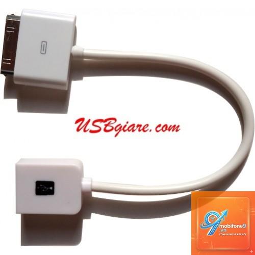 Cáp OTG cho iPad - Hình 2