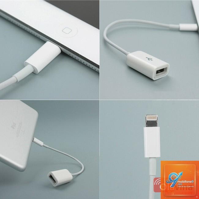Cáp OTG cho iPad - Hình 5