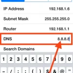 DNS 8.8.8.8 iPhone