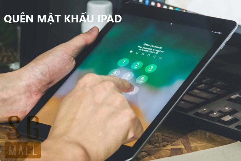 Mất mật khẩu iPad - Hình 3