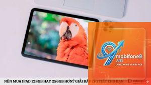 Nên mua iPad 128GB hay 256GB