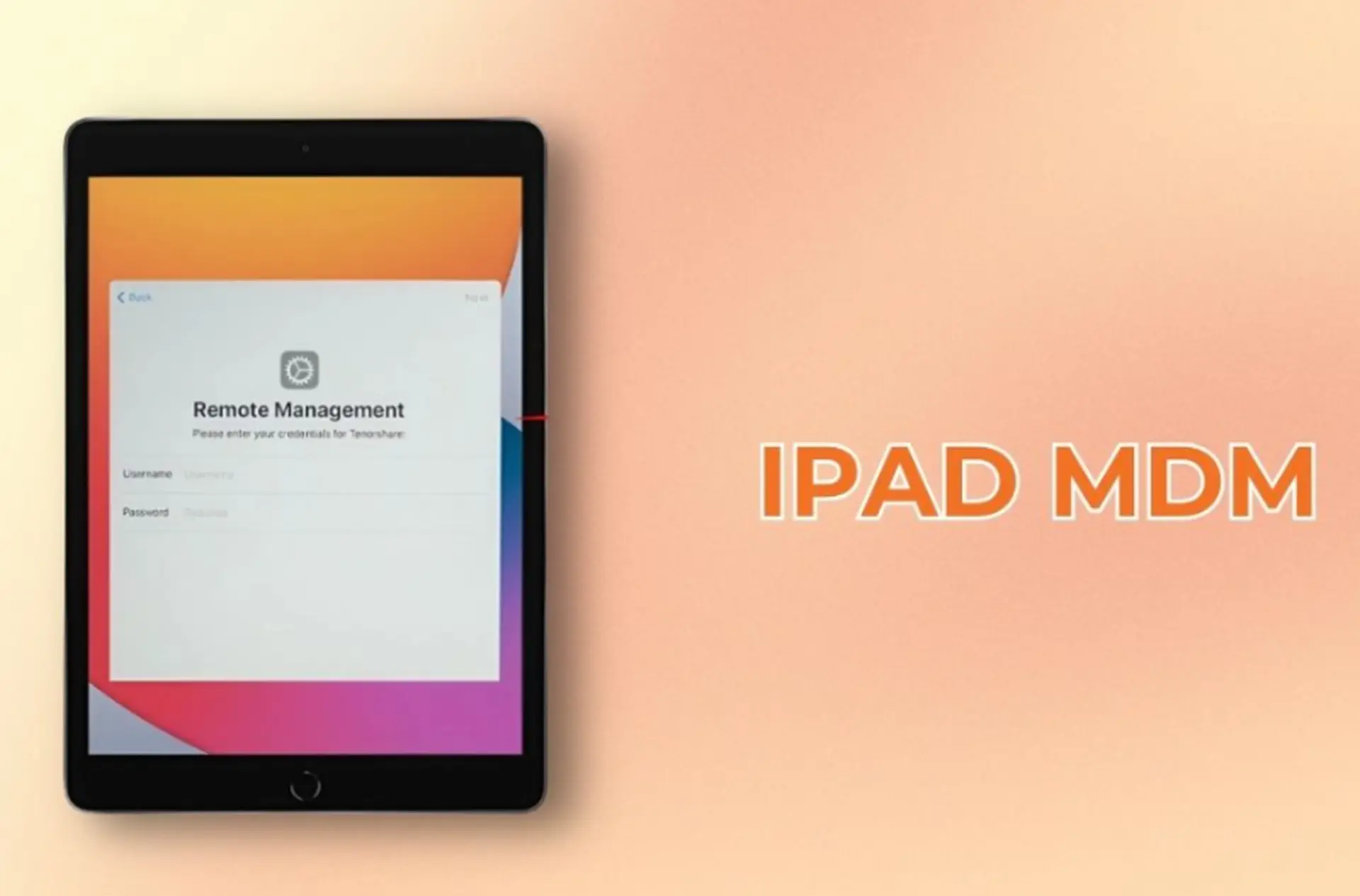 Những điều cần biết trước khi mua iPad - Hình 2