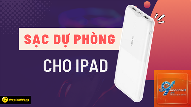 Pin dự phòng cho iPad - Hình 1