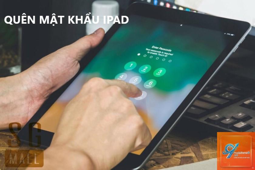 Quên mật khẩu iPad - Hình 3