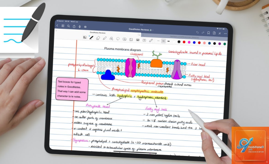 Top ứng dụng học tập cho iPad - Hình 1