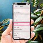 Accessibility trên Apple là gì? Khám phá hệ sinh thái trợ năng toàn diện nhất thế giới accessibility trên apple là gì