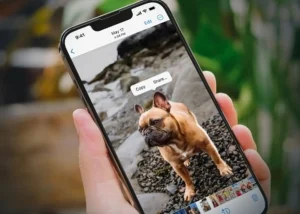 app ghép ảnh trên iPhone