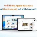 Apple Business Manager hoạt động như thế nào? Hướng dẫn toàn diện từ A đến Z apple business manager hoạt động như thế nào