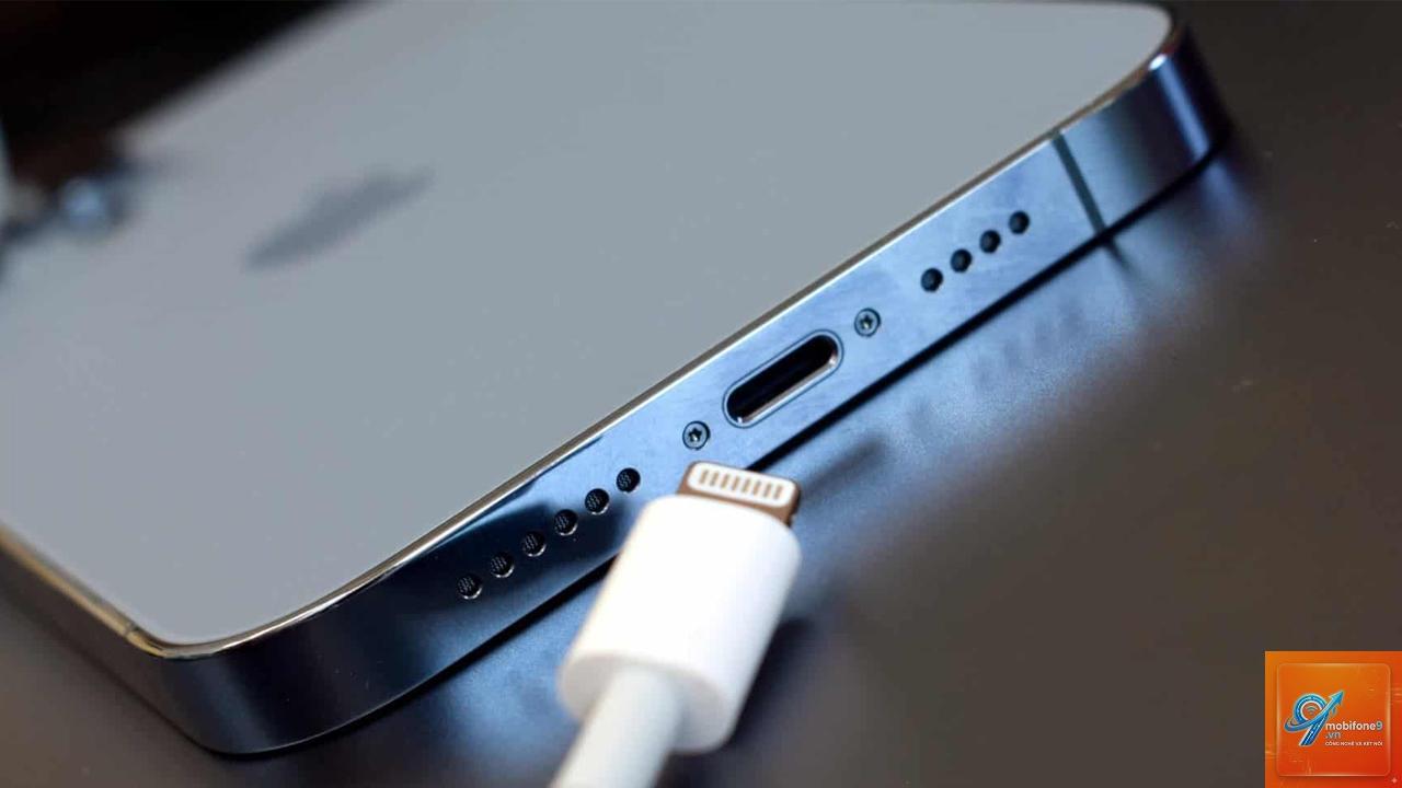 apple charging là gì - Hình 4