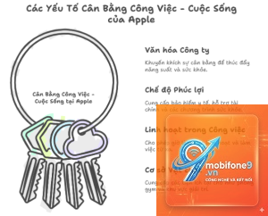 apple ecosystem cho công việc