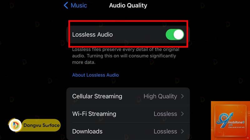 apple music không phát được nhạc lossless - Hình 4