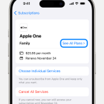 Apple Recurring Subscription là gì? Hướng dẫn chi tiết từ A đến Z về đăng ký định kỳ trên App Store apple recurring subscription là gì