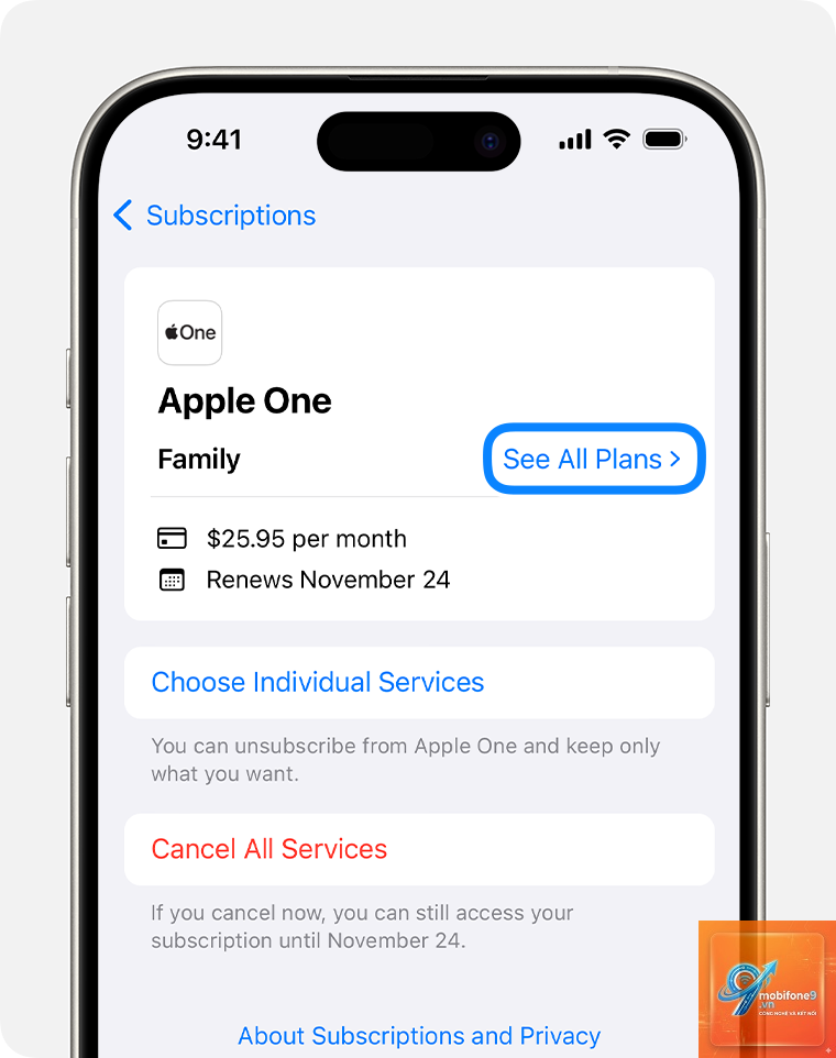 apple recurring subscription là gì - Hình 1