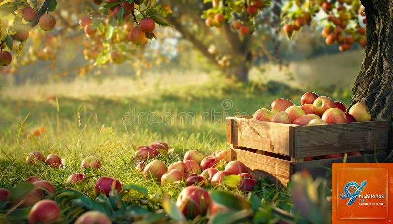 apple trong nhiếp ảnh - Hình 4