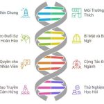 apple trong sáng tạo nội dung