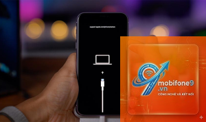 apple wallet bị treo