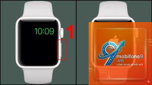 apple watch bị treo logo apple