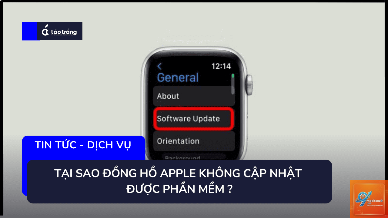 apple watch không cập nhật được - Hình 1
