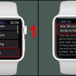 Apple Watch không kết nối với iPhone: Nguyên nhân và cách khắc phục triệt để apple watch không kết nối với iphone