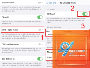 bật 3D Touch trên iPhone 11