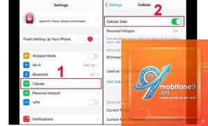 bật 5G trên iPhone 14