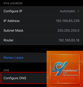 bật DNS riêng trên iPhone