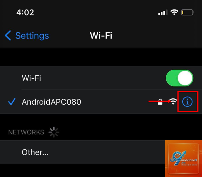 bật DNS riêng trên iPhone - Hình 5