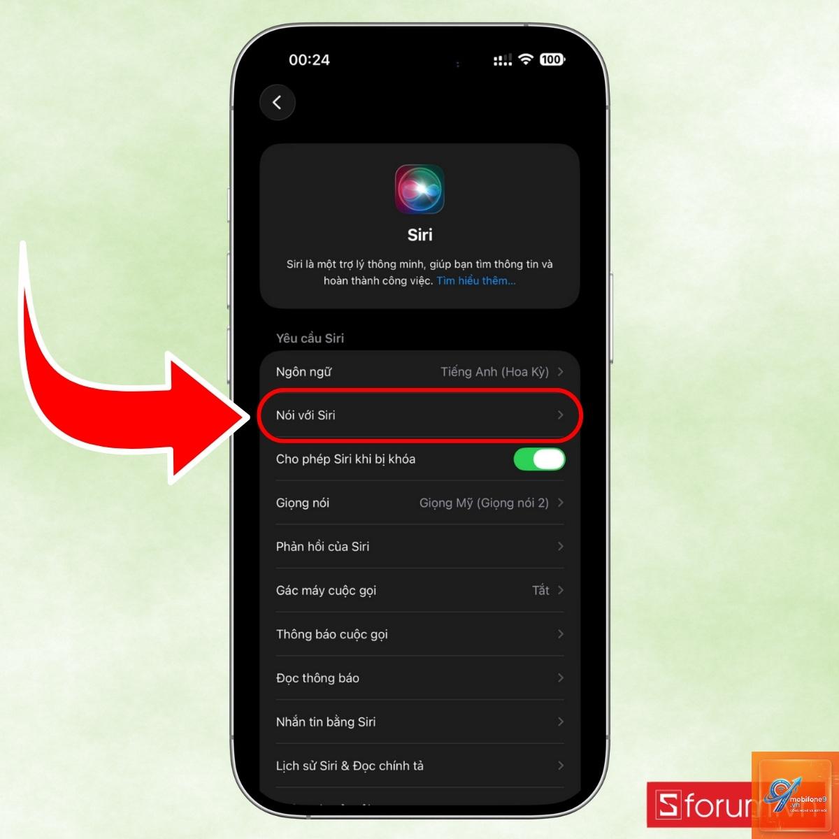 bật Siri trên iPhone - Hình 4