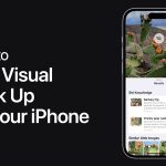 Hướng dẫn chi tiết cách bật Visual Lookup trên iPhone và khám phá mọi tính năng ẩn bật Visual Lookup trên iPhone