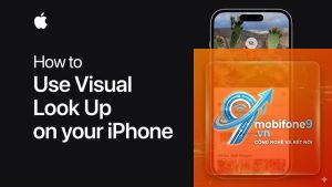 bật Visual Lookup trên iPhone