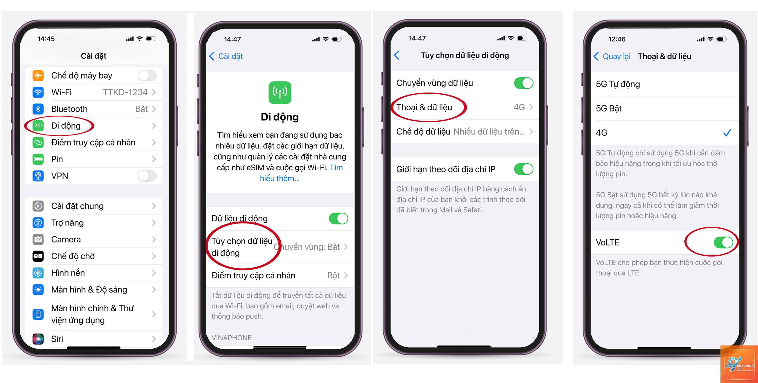 bật VoLTE trên iPhone - Hình 2