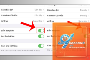bật âm thanh bàn phím iPhone