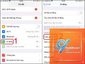 bật cuộc gọi WiFi trên iPhone