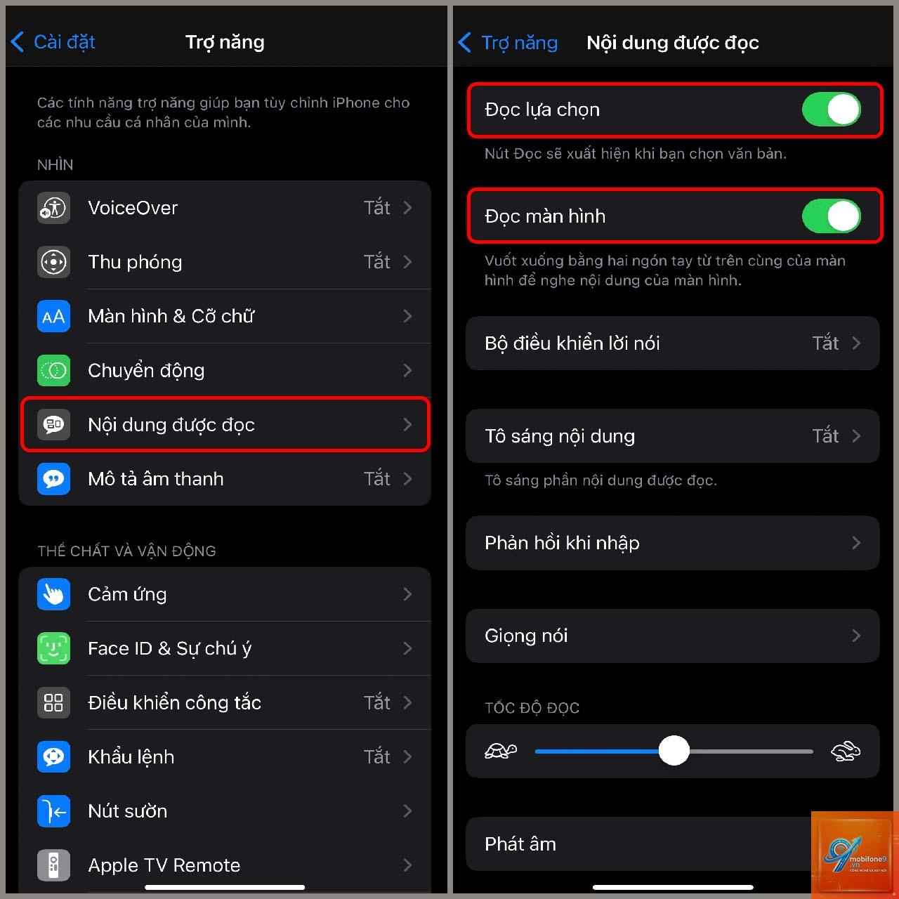 bật đọc màn hình trên iPhone - Hình 4