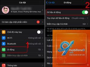 bật dữ liệu di động trên iPhone