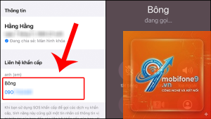 bật gọi khẩn cấp trên iPhone
