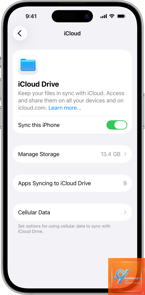 bật iCloud Drive trên iPhone - Hình 3