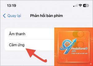 bật rung bàn phím trên iPhone