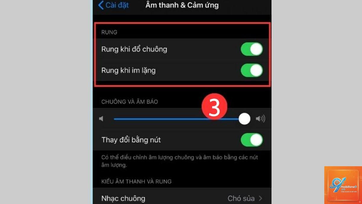 bật rung khi đổ chuông trên iPhone - Hình 4