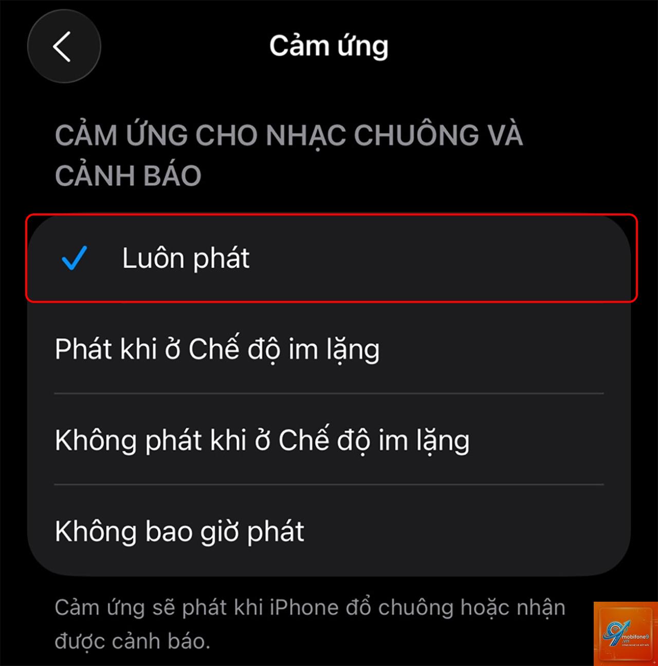bật rung khi đổ chuông trên iPhone - Hình 5