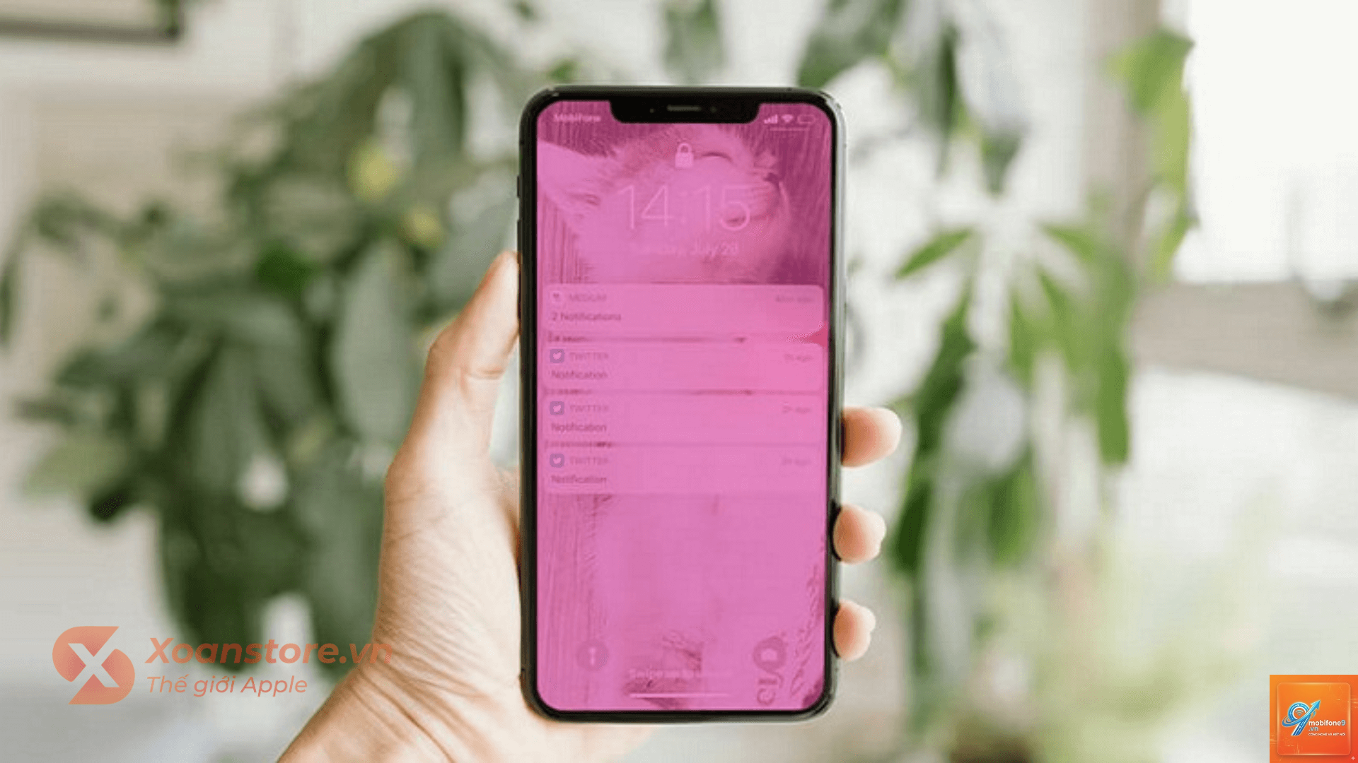 bị ám hồng màn hình iPhone - Hình 1