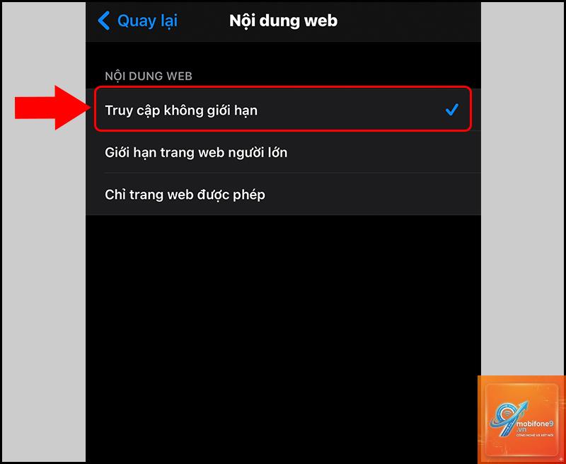 bị lỗi Safari trên iPhone - Hình 4
