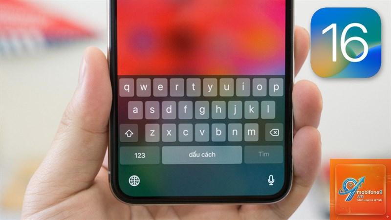 bị lỗi bàn phím tiếng Việt trên iPhone - Hình 3
